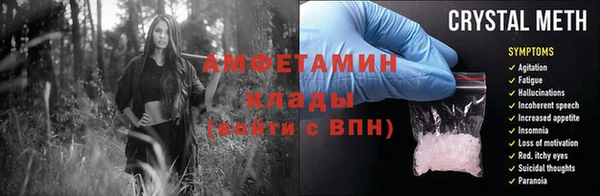 прущие грибы Бронницы
