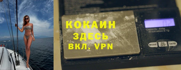 прущие грибы Бронницы