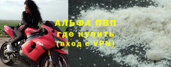 стаф Белоозёрский