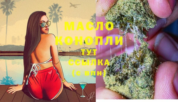 прущие грибы Бронницы