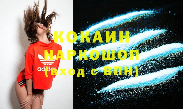 прущие грибы Бронницы