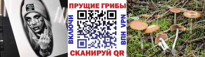 ссылка на мегу tor  где можно купить наркотик  Городец  Псилоцибиновые грибы MAGIC MUSHROOMS 
